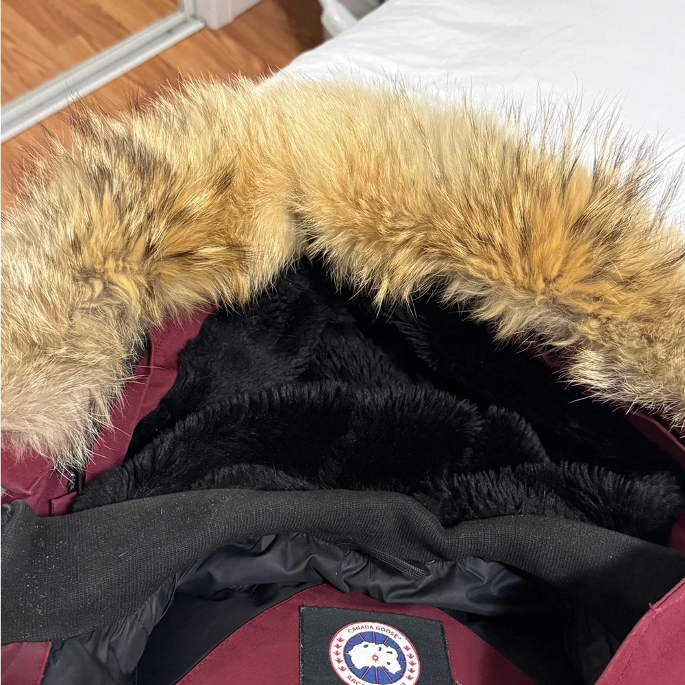 Canada Goose Women's Kensington Parka Size M Fusion Fit - Picture 4 of 15